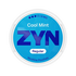 Cool Mint ZYN Nicotine Pouches 