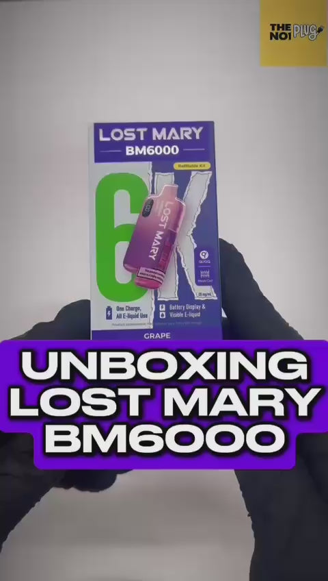 Lost Mary - Lost Mary BM6000 Prefilled Pod Vape Kit - The No1 Plug