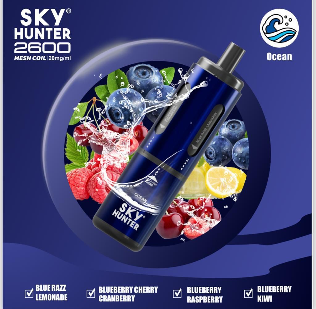 Sky Hunter - 4 in 1 Sky Hunter 2600 Puffs Disposable Vape Box of 5 - theno1plugshop